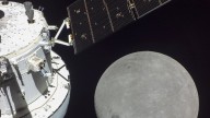 Adiós a Elon Musk: la NASA da un golpe sobre la mesa y tiene un nuevo elegido para pisar la Luna