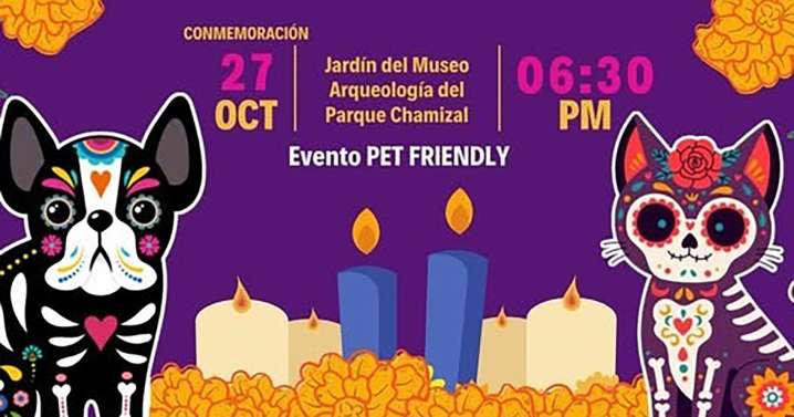 ¿Lo sabía? También existe día para recordar a mascotas fallecidas