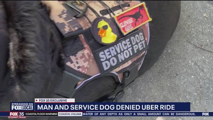 Veteran says he was denied Uber ride because of service dog