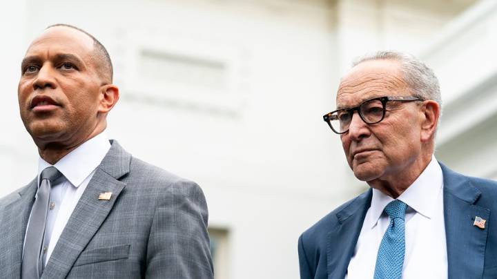 Democratic operatives urge party not to retreat on shutdown