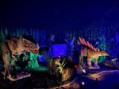 This North County attraction features dinosaurs in a cornfield