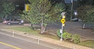 Police search for SUV driver involved in deadly hit