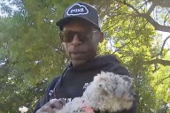Chicago Man's Dog Returned to Him 10 Years after Pup Went Missing from Yard