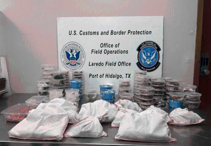 Pythons, frogs, tarantulas: CBP seizes 163 exotic pets at Mission's Anzalduas International Bridge