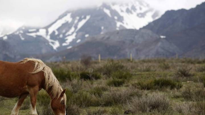 León, bajo cero: cinco de las diez mínimas del país se registran en la provincia