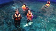 Surfistas sinaloenses viven una experiencia en el Gran Acuario Mazatlán