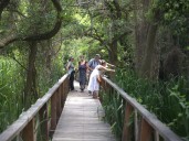 Cómo son los paseos por la Reserva Ecológica del Conurbano con más de 250 especies de aves y 80 de mariposas