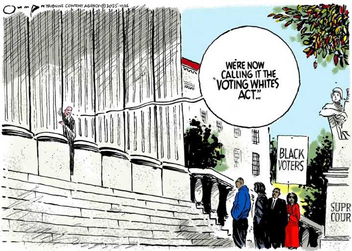 Cartoon: Voting Whites Act