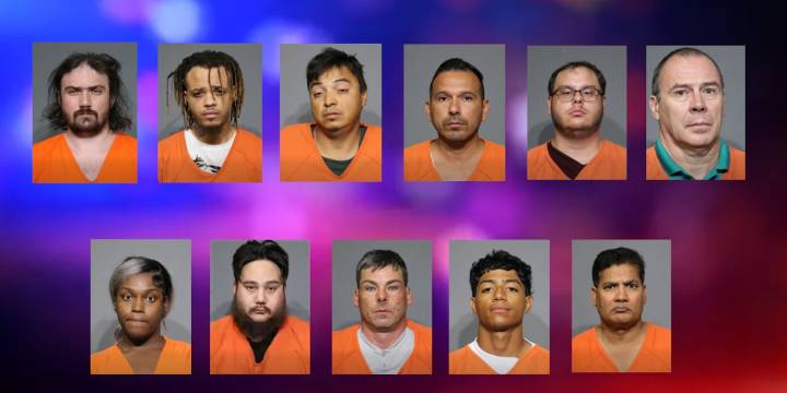 Deputies arrest 11 people in South Carolina child exploitation investigation