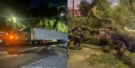 Calzada Ignacio Zaragoza bloqueada en dirección a Puebla por árbol derribado en carriles centrales