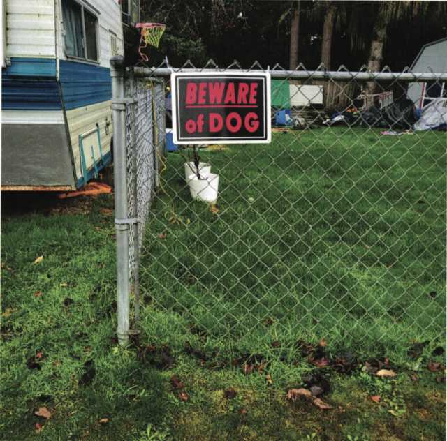 Lynnwood Councilmember Escamilla’s dog involved in multiple attacks, records show