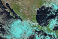 Se intensifica ‘Priscilla’ a huracán categoría 1; mantiene SMN zona de vigilancia