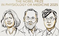 Nobel de Medicina para tres científicos por un hallazgo clave sobre el sistema inmune