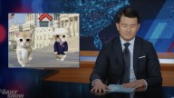 The Daily Show cringes through the government shutdown meme war