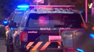 Mother accused of fatally stabbing 4