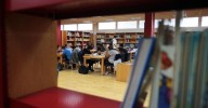 AIG denuncia la paralización del préstamo entre bibliotecas de Cádiz por falta del servicio de envío de paquetería