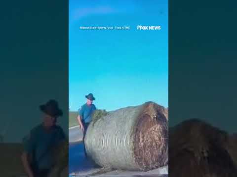 WATCH: State Trooper pushes a massive hay bale that blew into the road #shorts #watch #video #usa