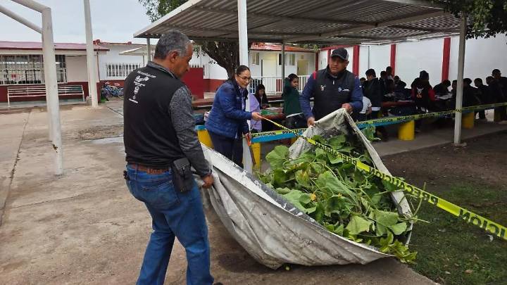 Tecnológico de Celaya realiza intervención comunitaria en escuelas primaria del municipio