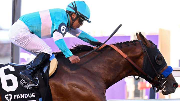Breeders' Cup 2025: How To Stream It Online, Pricing, Availability