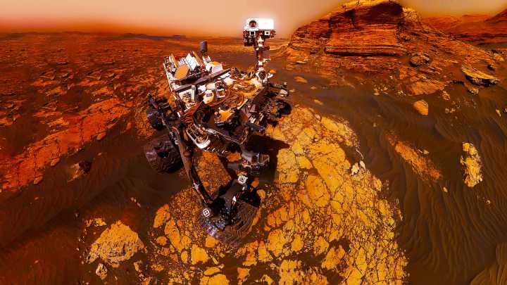 NASA Just Confirmed The Discovery Of "Coral" On Mars