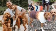 Ohio Dog Dad’s Road Trip Leads To An Unexpected Third Pup Joining The Family