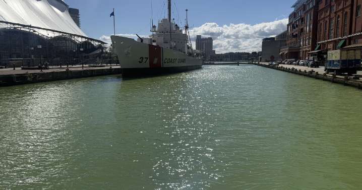 Sulfur tide continues to stink up Baltimore's Inner Harbor