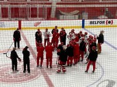 Red Wings have roster decisions as preseason winds down