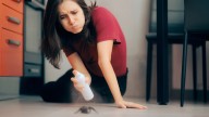 Centipede Vs Millipede: Which Pest Is Invading Your Home
