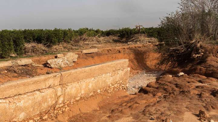 El camp perd 214.000 tones de capacitat productiva en la zona dana