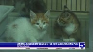 Brownsville animal shelter implementing fee for surrendering...