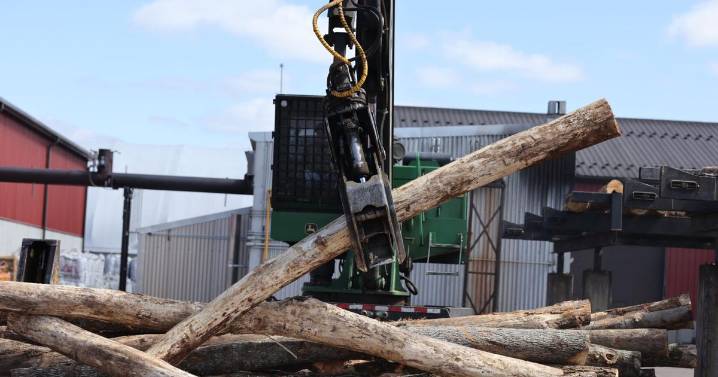 Pennsylvania Leads U.S. in Hardwood Exports, but Industry Growth Starts at Home