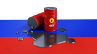 India's energy ties with Russia in sync with its national interest, says Moscow's envoy to Delhi