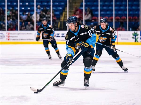 Late goals sink Walleye in road loss to Bison