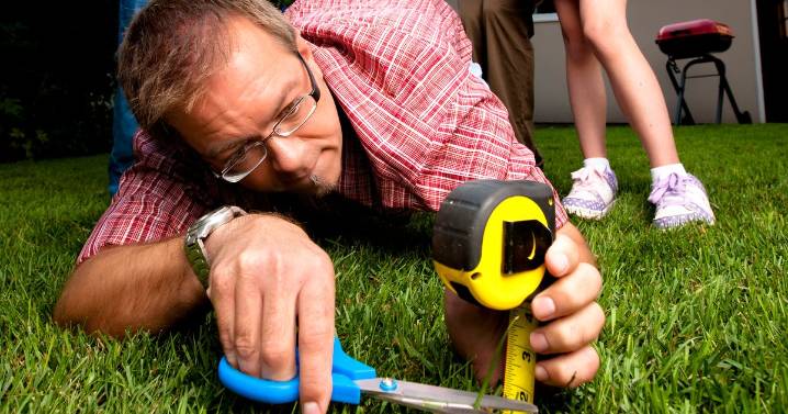 Exact length to keep your grass in winter so it thrives in the spring time
