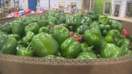 Millions could lose SNAP Benefits if Federal Shutdown continues, experts warn