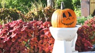 Poo spray may top the list for wacky pumpkin spice products this year