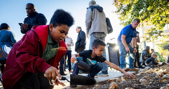 Community plants daffodil bulbs to honor 450 Utahns lost to gun violence in 2024