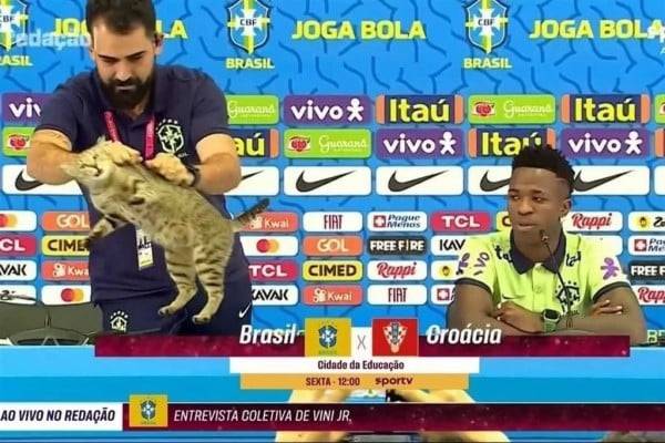 La 'Maldición del Michi' que atormenta a Brasil