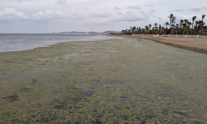 El Mar Menor sigue en alerta: menos clorofila, pero el sur aún sufre falta de oxígeno
