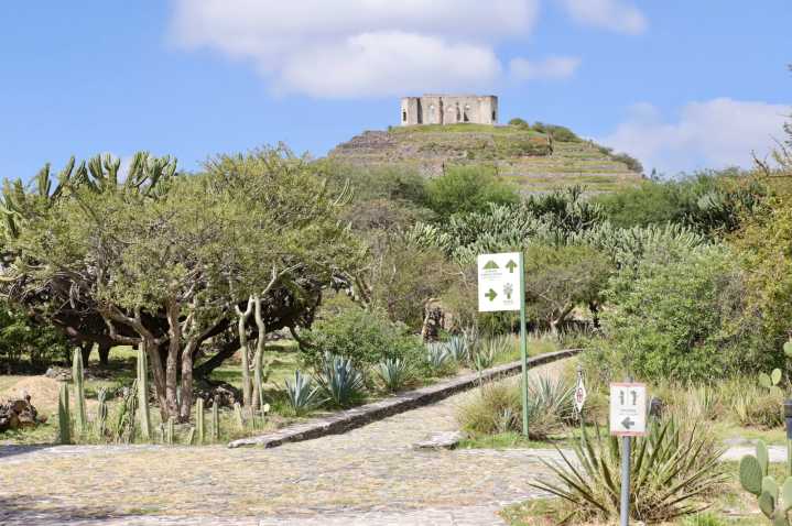 Corregidora obtiene el Sello de Biodiversidad Querétaro en la Zona Arqueológica de El Cerrito