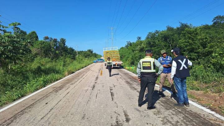 Camión de transporte de pollos vuelca en la carretera Muna