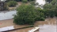 DIF Sonora Abre Centros de Acopio para Damnificados en Veracruz: Estos Alimentos puedes Donar