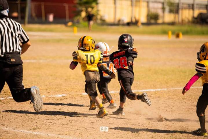 Armadillos recibe a Águilas de PN