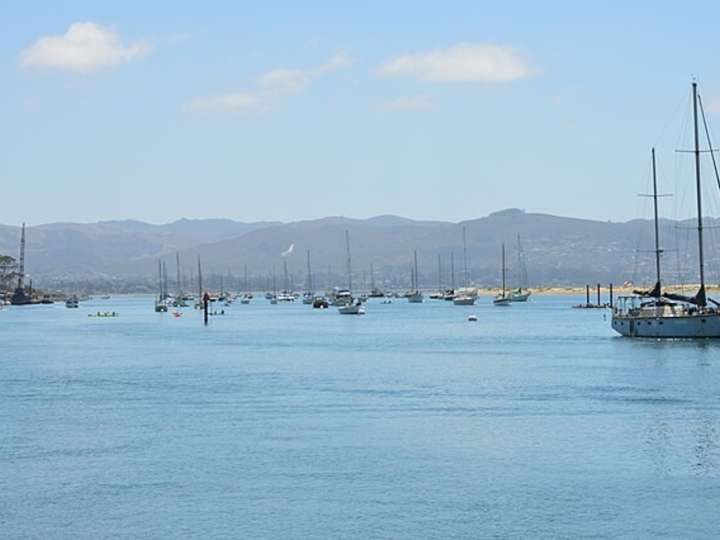 Temporada de ballenas en California: el mejor pueblo para verlas