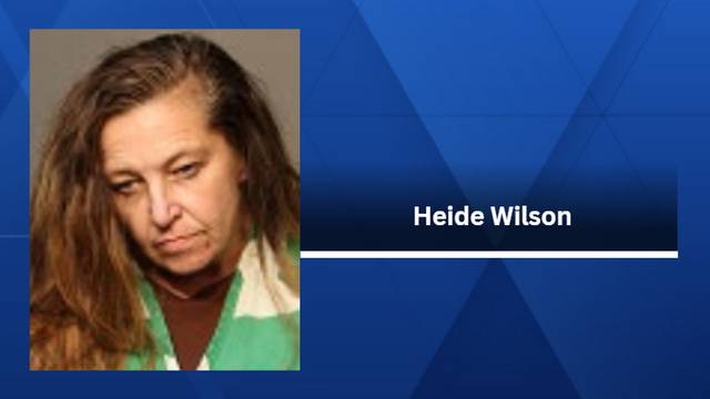 Iowa crime: Heide Wilson, of Des Moines, charged after allegedly fleeing from police