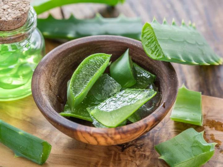 Por qué el aloe vera es esencial en la rutina diaria para combatir los signos del envejecimiento