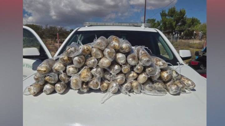 Border Patrol agents seize 52 lbs. of meth hidden in tire at US