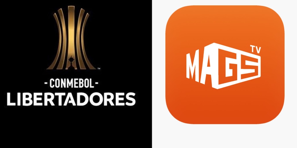 Dónde ver la final de la Copa Libertadores el 29 de noviembre de 2025: gratis y sin Magis TV