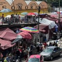 ¡Victoria para los animales! Tribunal prohíbe su venta en el Mercado Sonora