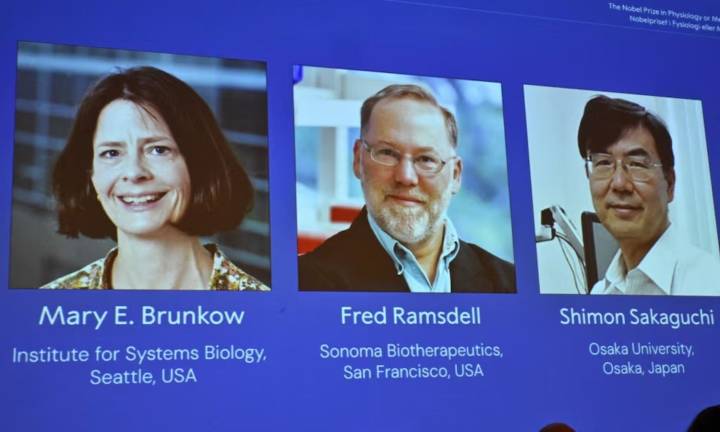 Meet the Scientists who won the 2025 Nobel Prize in Medicine